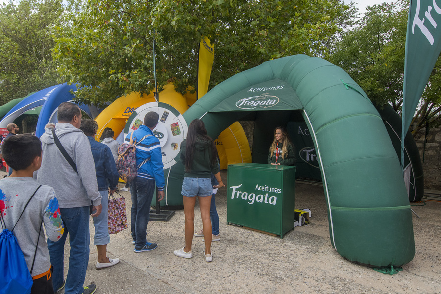 Carpa araa